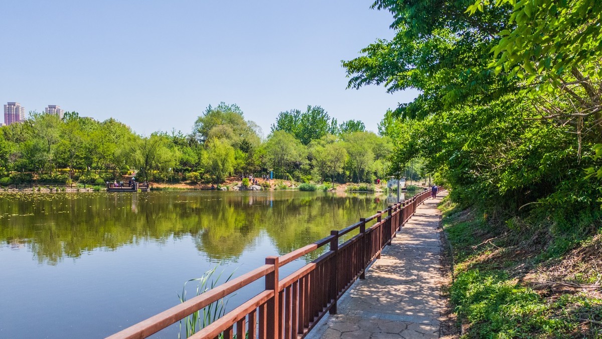 大 连 前 关 湿 地 （ 三 ）