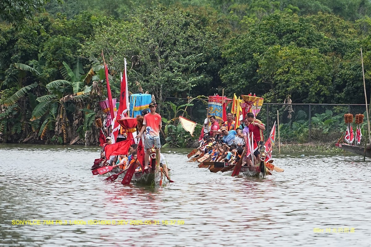 家乡龙舟活动抓拍