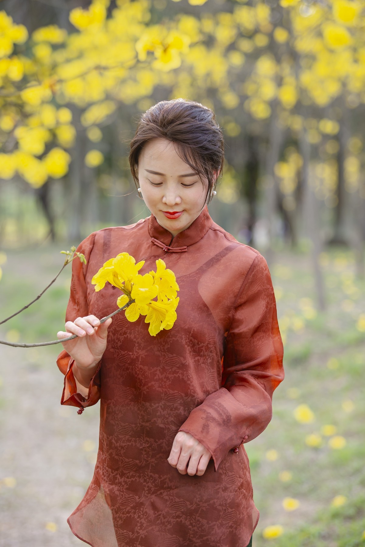 黄花风铃人像