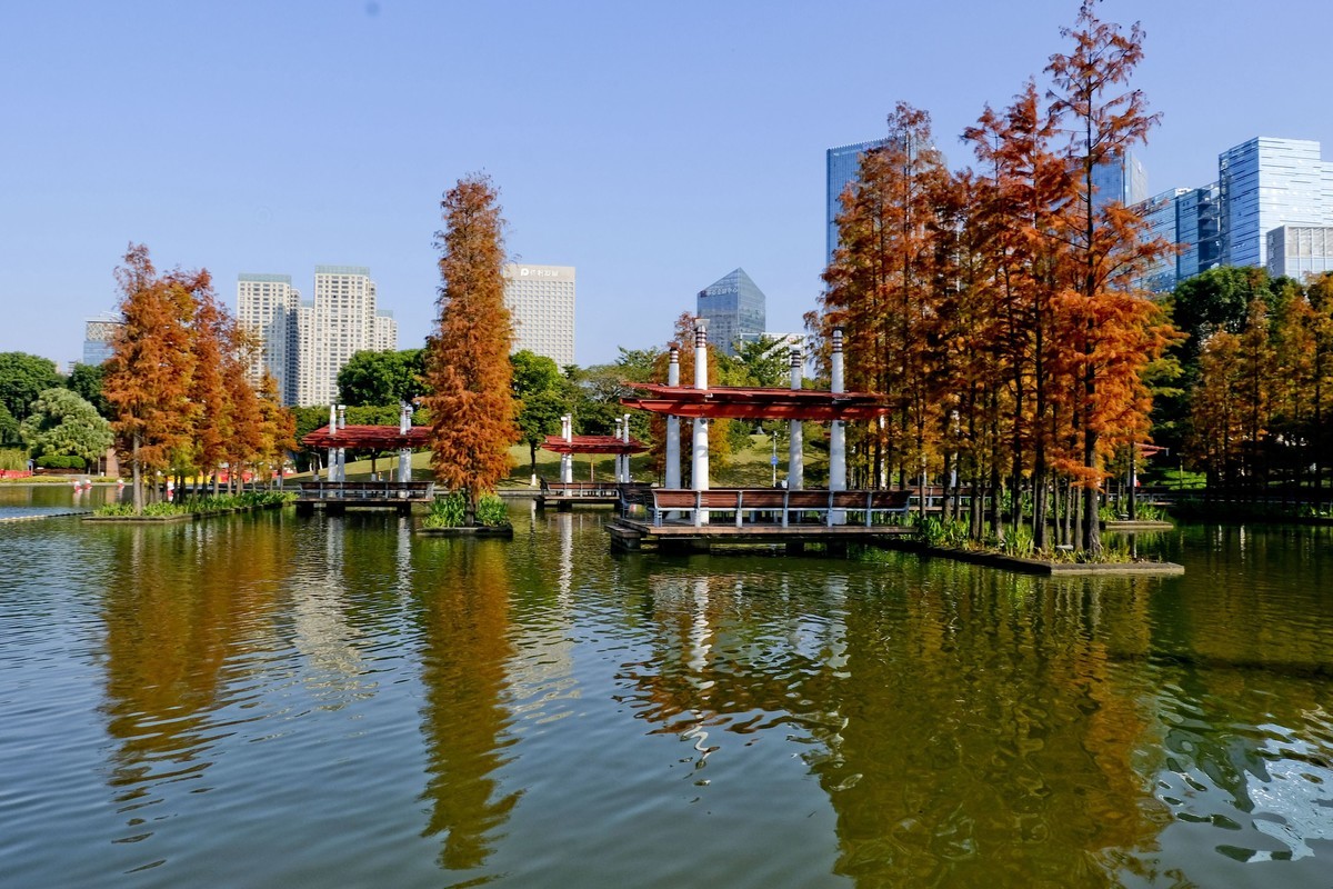 佛山千灯湖景色-中关村在线摄影论坛