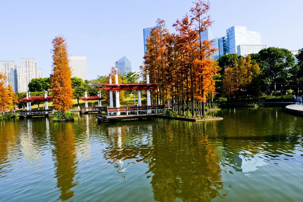佛山千灯湖景色-中关村在线摄影论坛