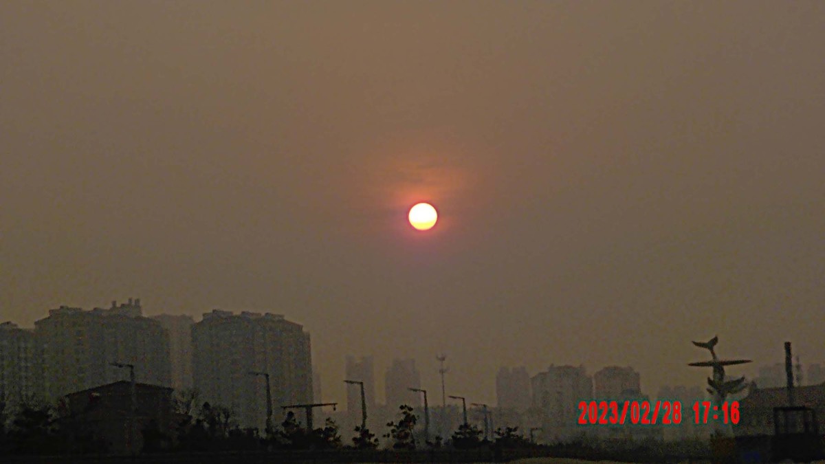 能看到几颗太阳黑子