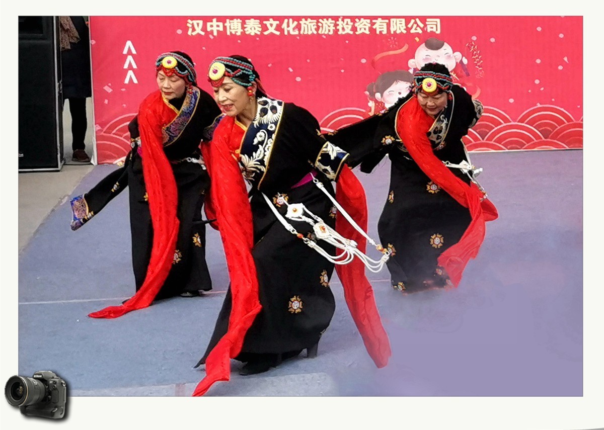 春节七天乐（2023031）