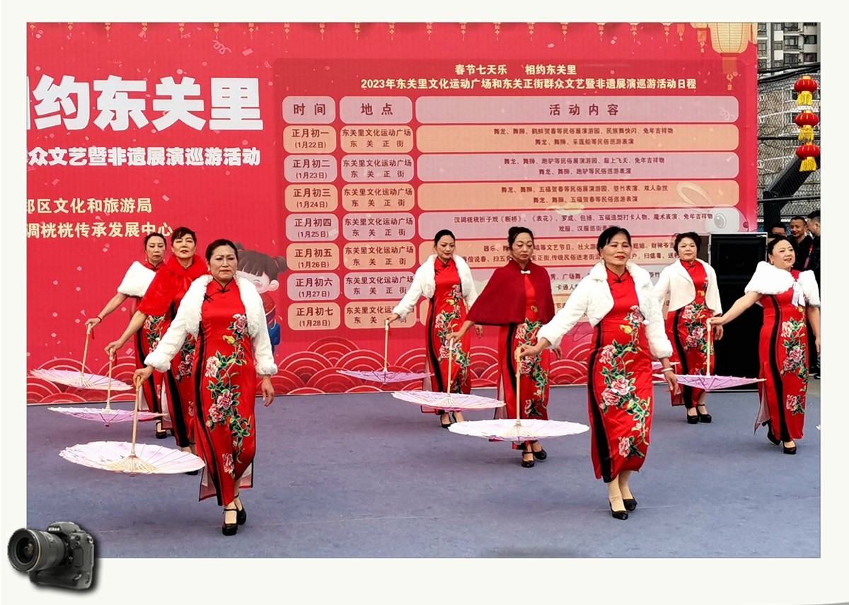 春节七天乐（2023031）