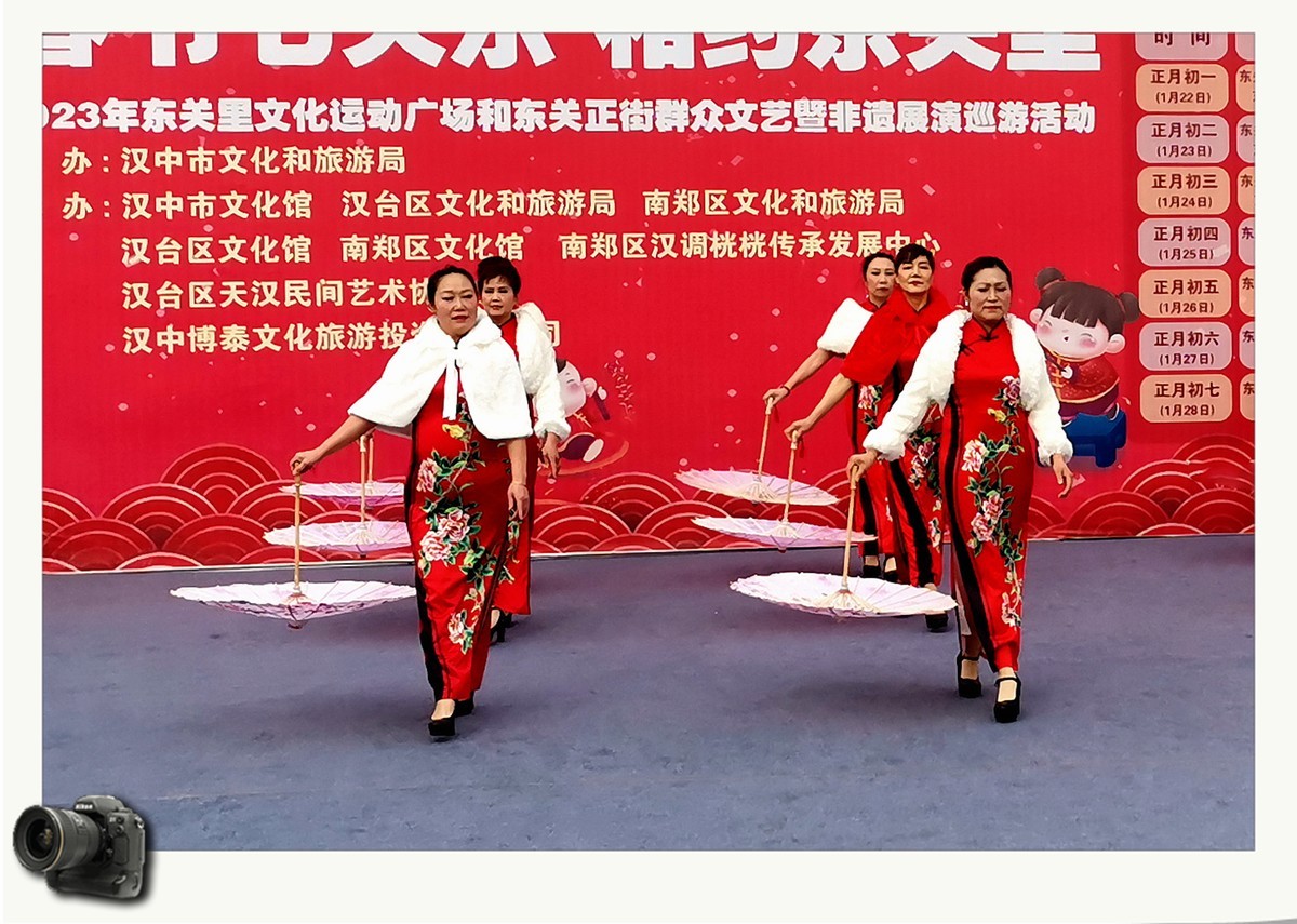 春节七天乐（2023031）