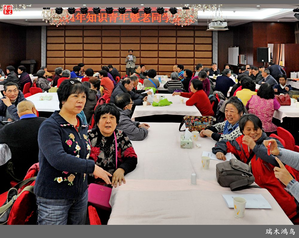 【原创摄影】那一年我们欢聚在清华园