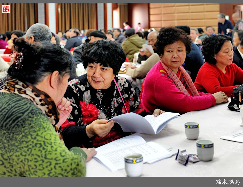 【原创摄影】那一年我们欢聚在清华园