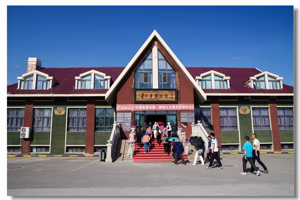 新疆之旅——薰衣草博览园