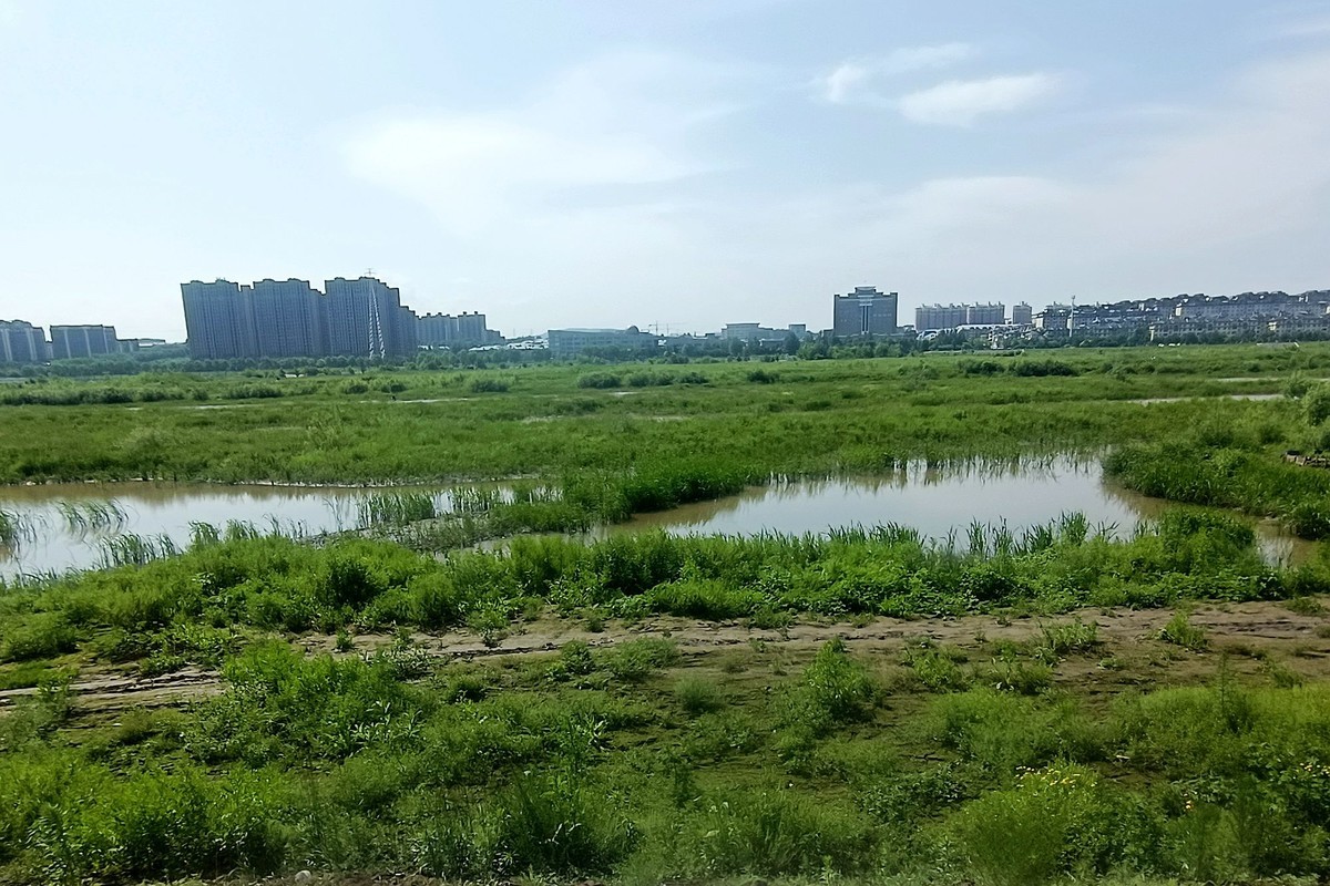 走走拍拍——江边行（1）