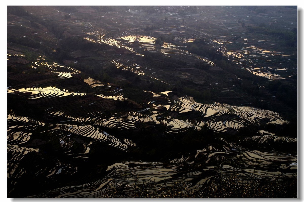 云南之旅——元阳坝达梯田（2）