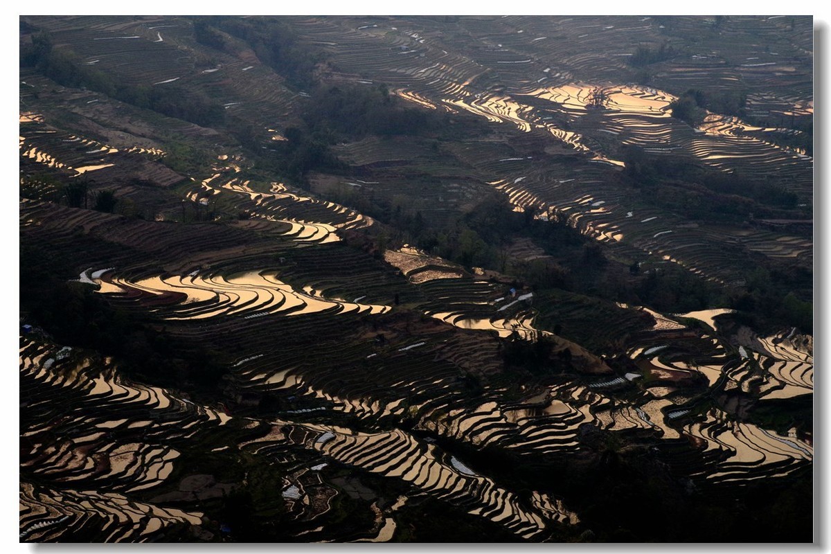 云南之旅——元阳坝达梯田（2）