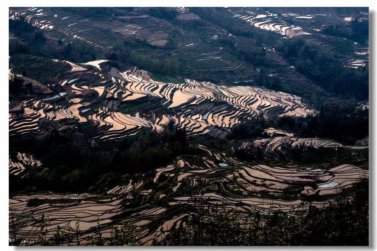 云南之旅——元阳坝达梯田（2）
