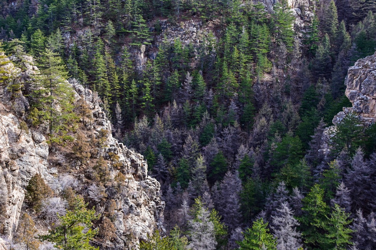 周末去爬贺兰山（下）