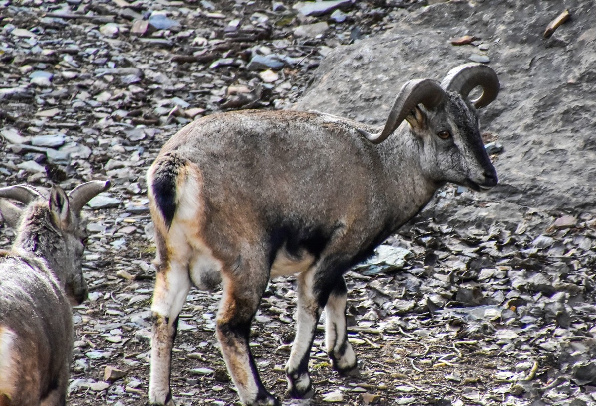 周末去爬贺兰山（下）