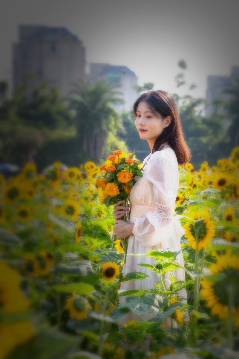 植物园向日葵旁