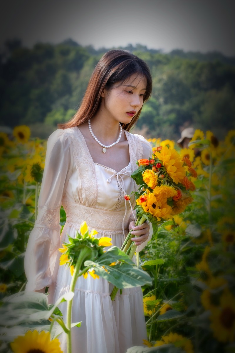 植物园向日葵旁