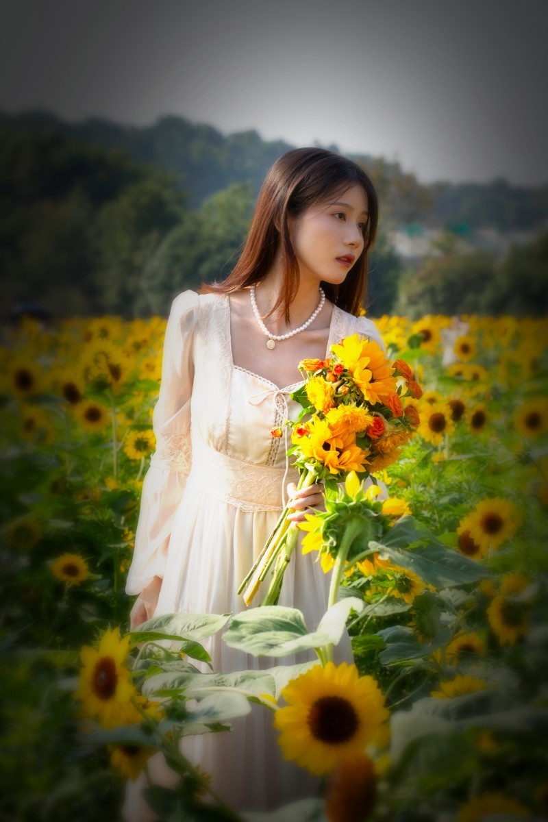 植物园向日葵旁