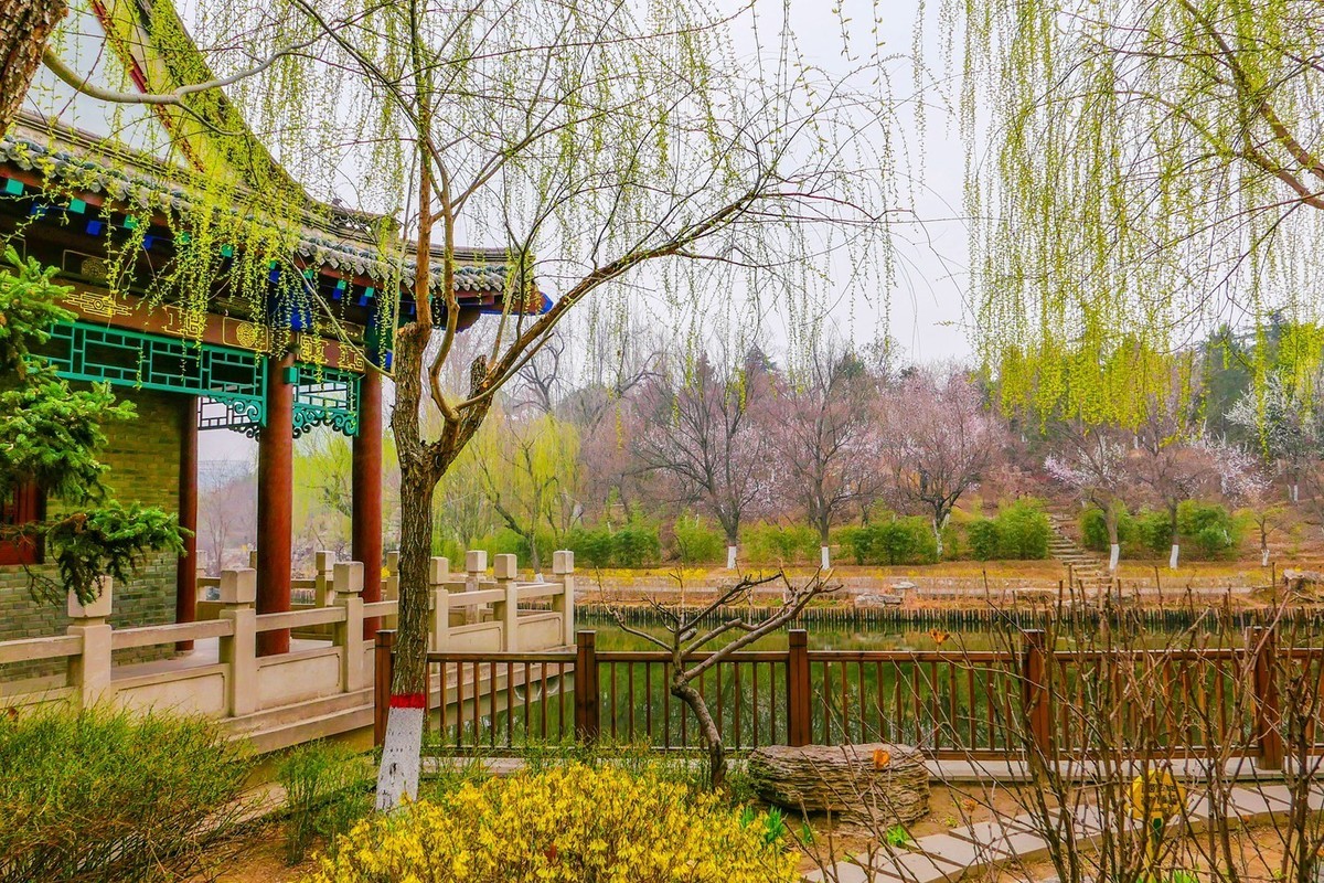草色青青柳色黄，踏青路上赏春光