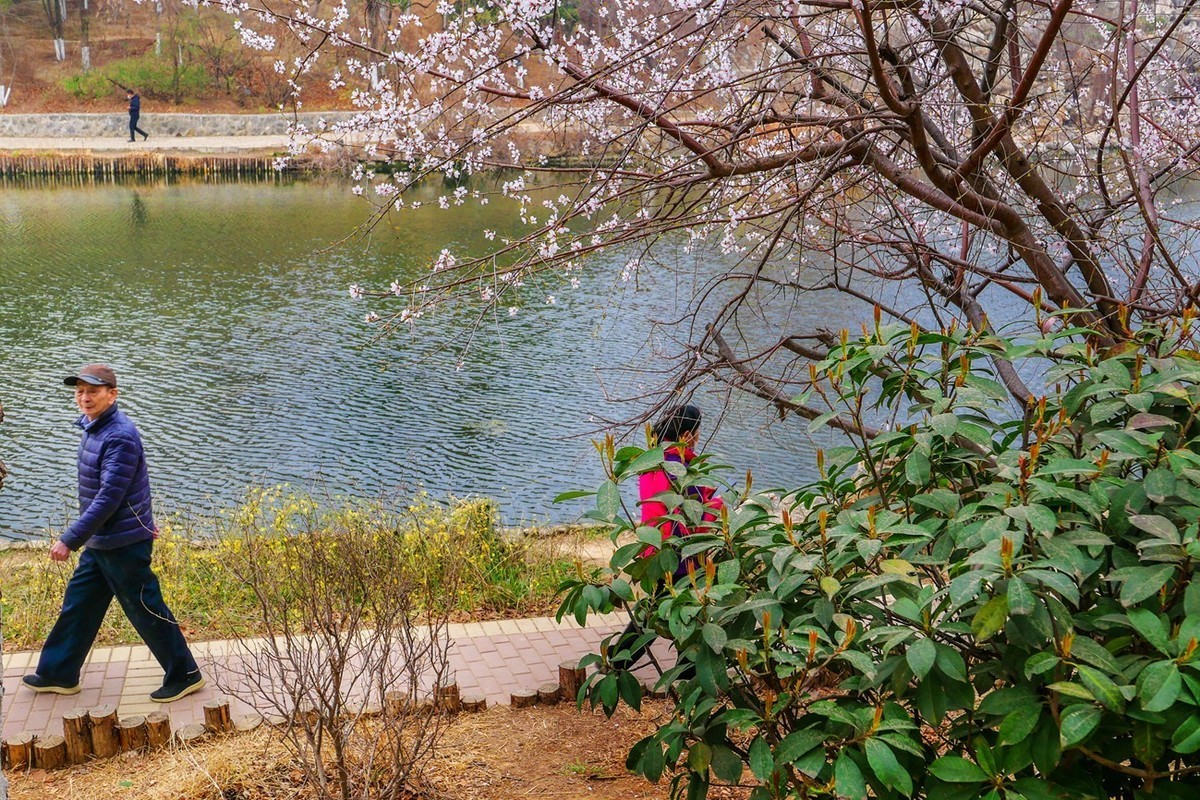 草色青青柳色黄，踏青路上赏春光