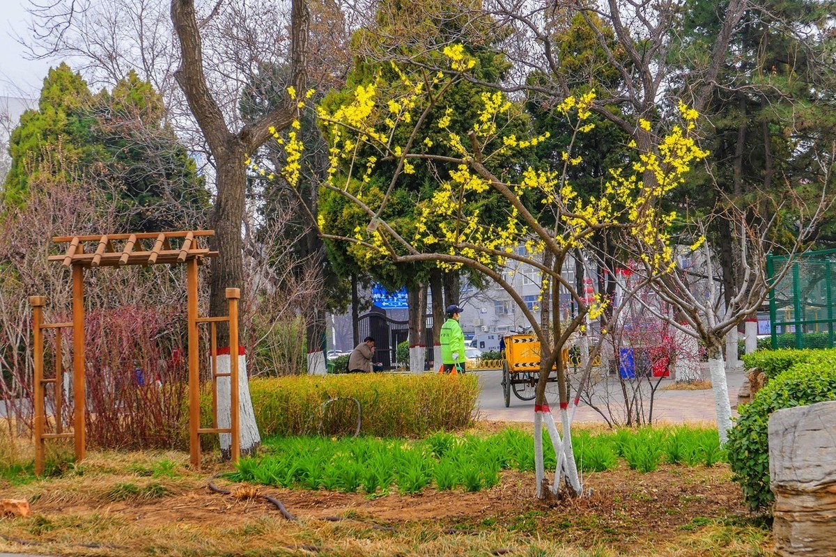 草色青青柳色黄，踏青路上赏春光