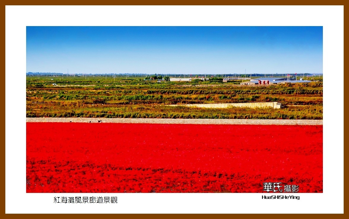美色辽宁——红海滩风景廊道景观（盘锦市）