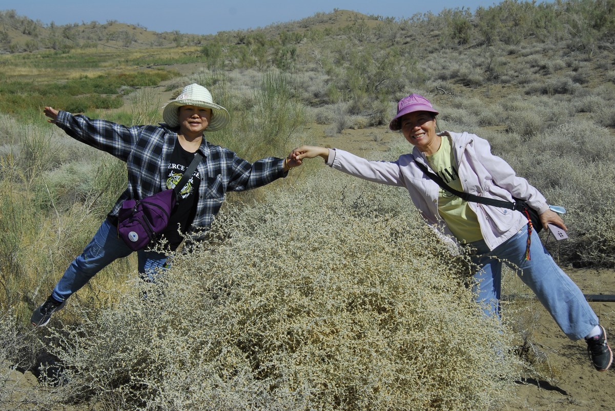 尼康D200+24-85随便拍拍。