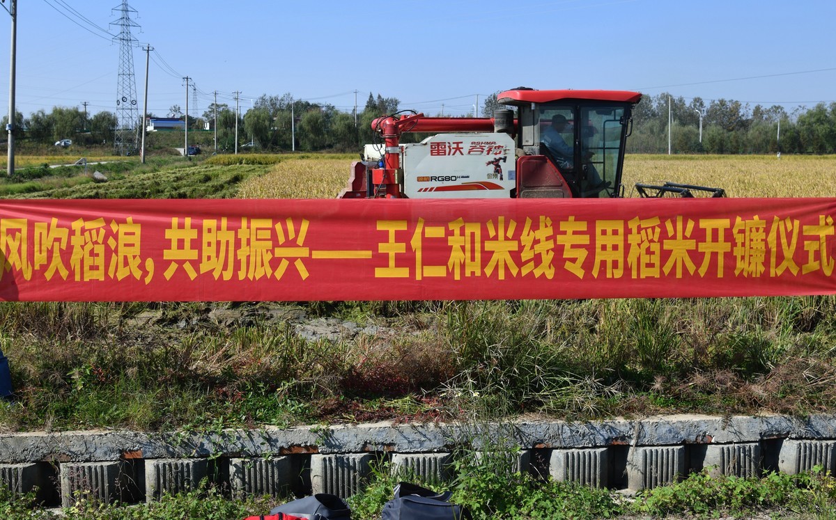 稻谷漂香 秋收正忙