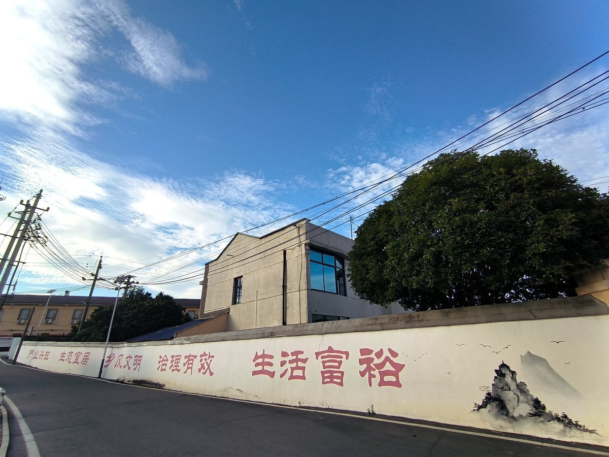 漫步星城 走街串巷（395）乡风文明   治理有效