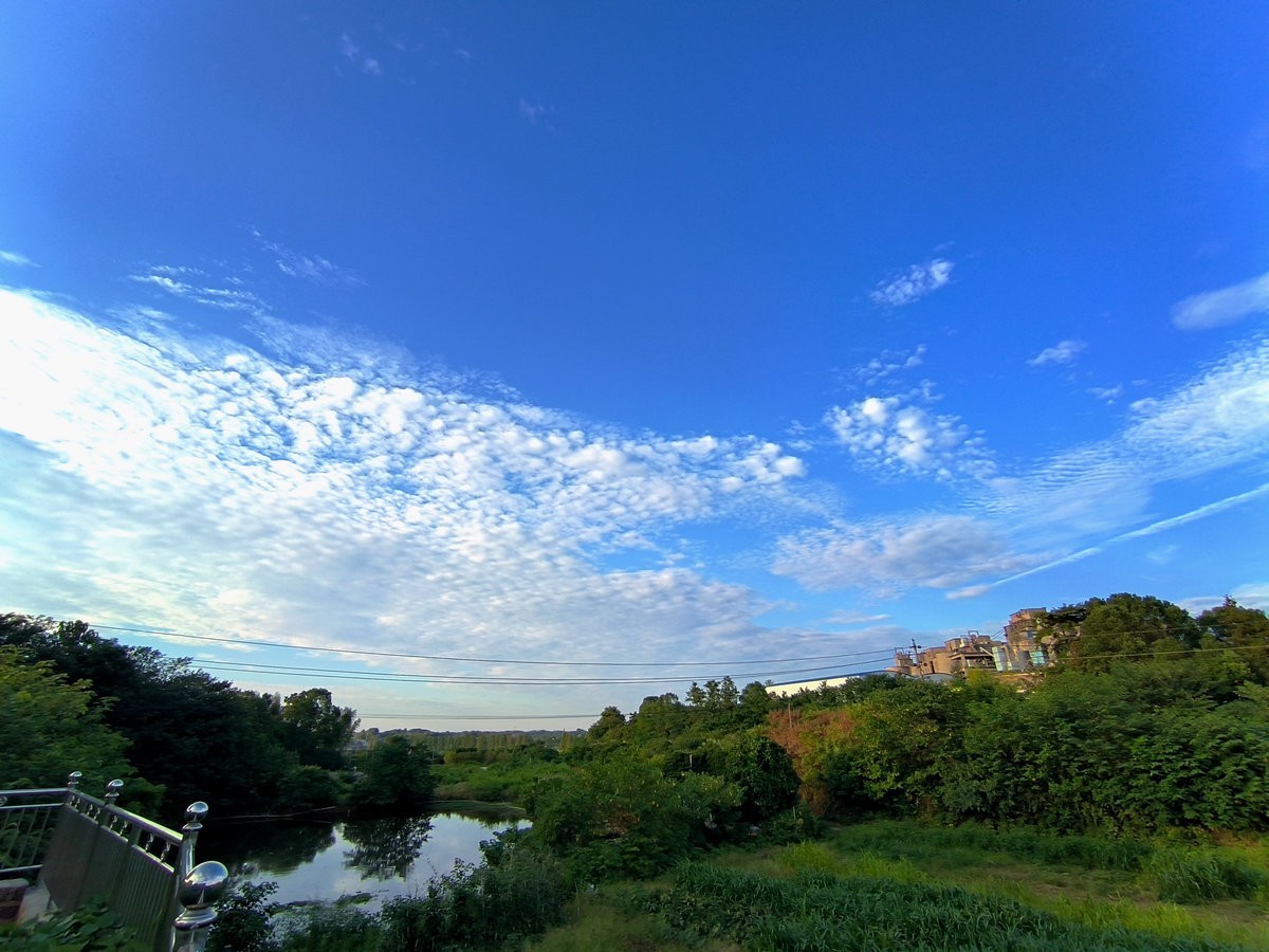 漫步星城 走街串巷（395）乡风文明   治理有效