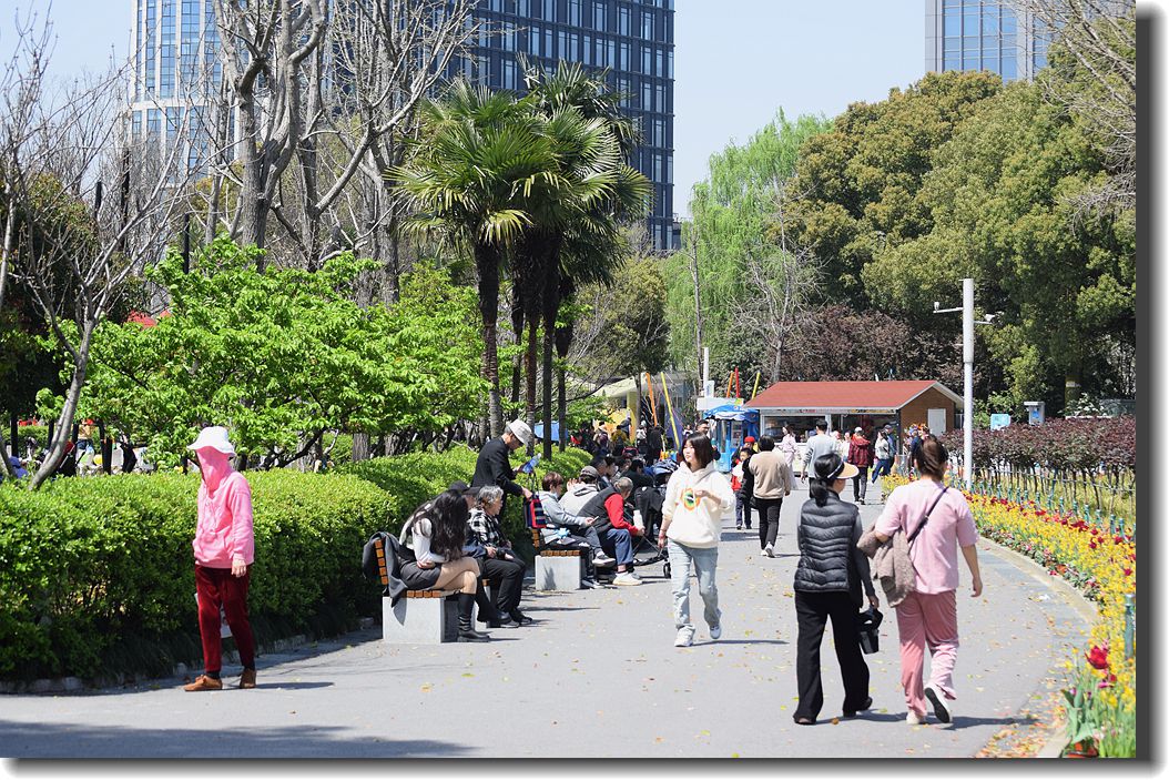春游时刻