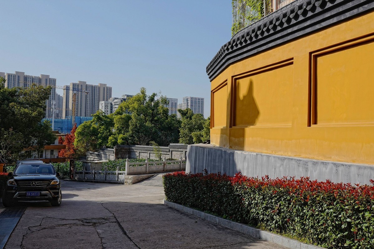 宝通寺银杏四（完）