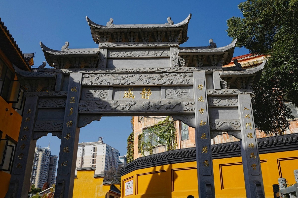 宝通寺银杏四（完）