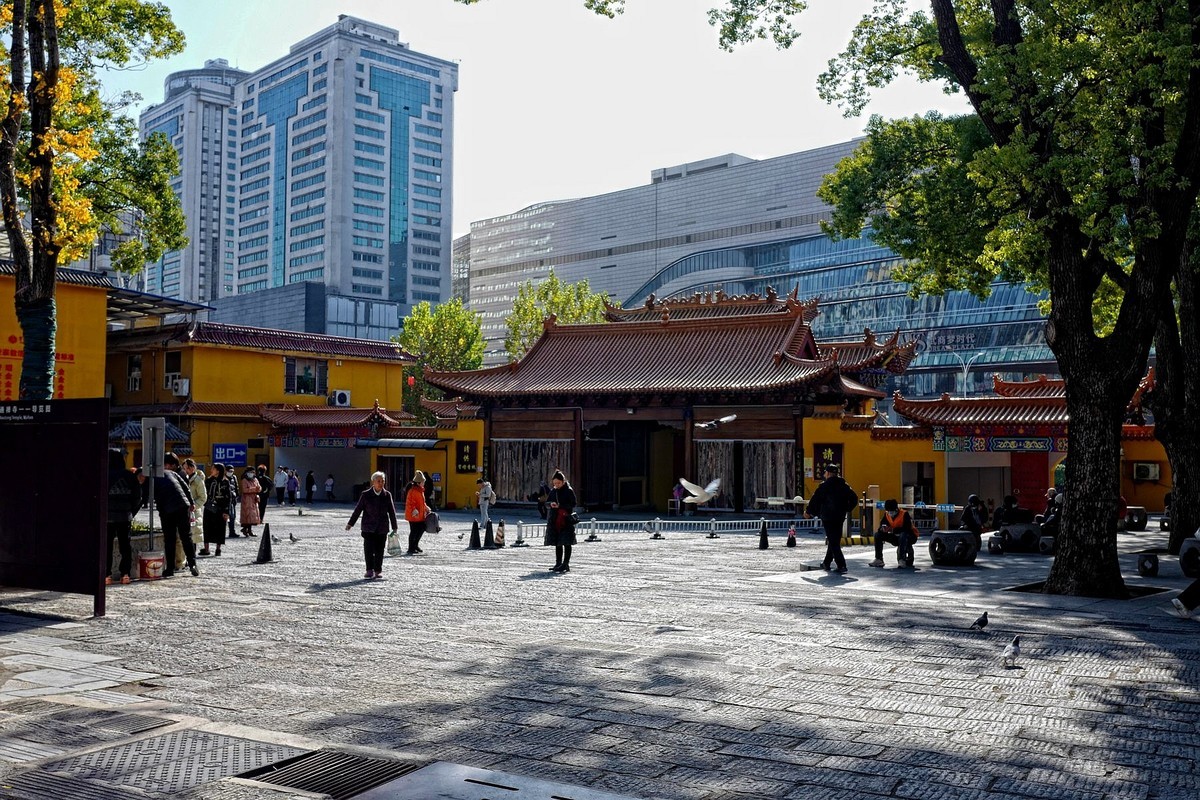 宝通寺银杏四（完）