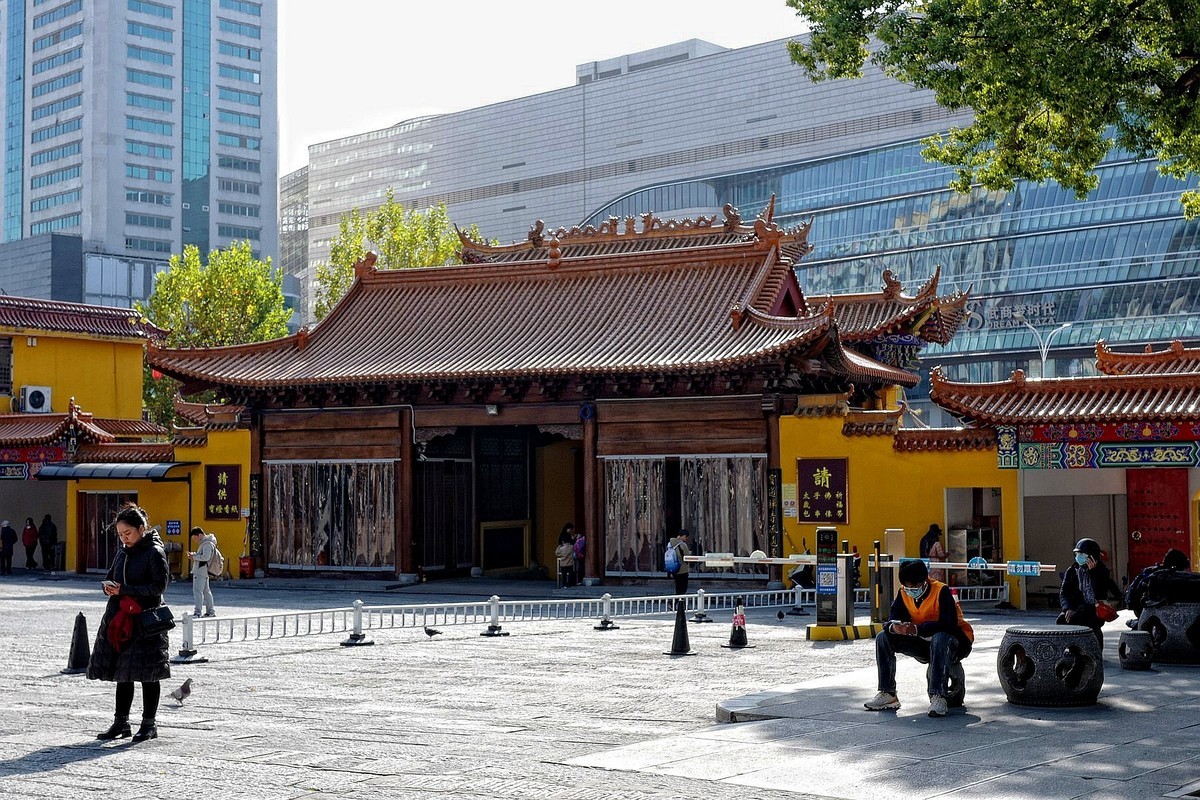 宝通寺银杏四（完）