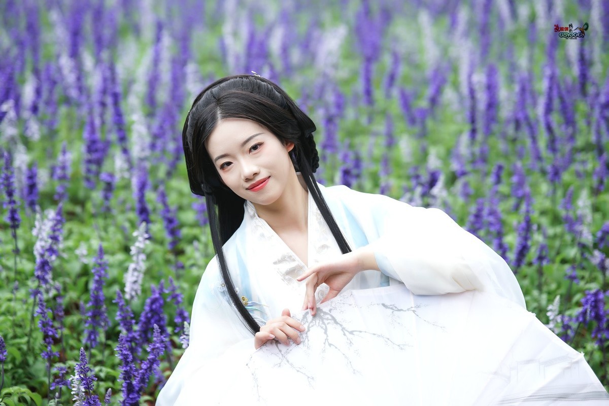 【紫花海漫步】---雅懿