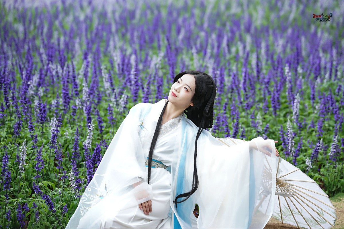 【紫花海漫步】---雅懿