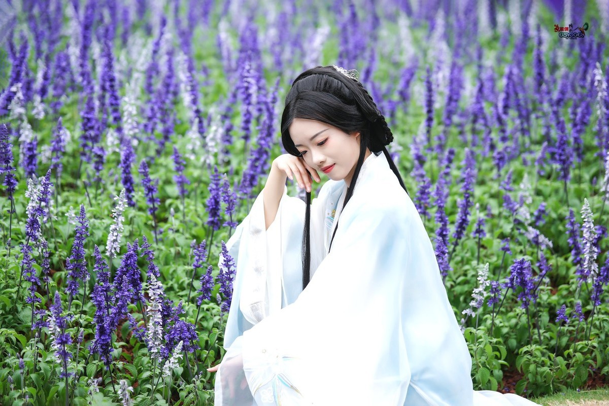 【紫花海漫步】---雅懿