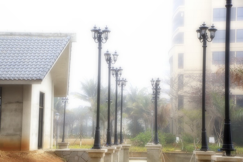 《不老松：忆海南游记》(20)雾罩长岛兰湾！