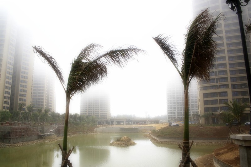 《不老松：忆海南游记》(20)雾罩长岛兰湾！