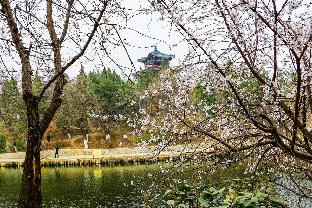 草色青青柳色黄，踏青路上赏春光