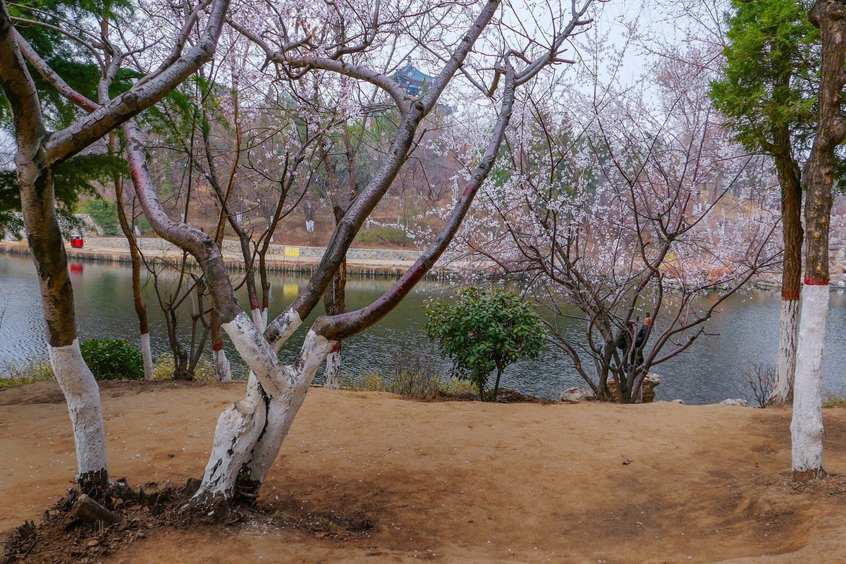 草色青青柳色黄，踏青路上赏春光