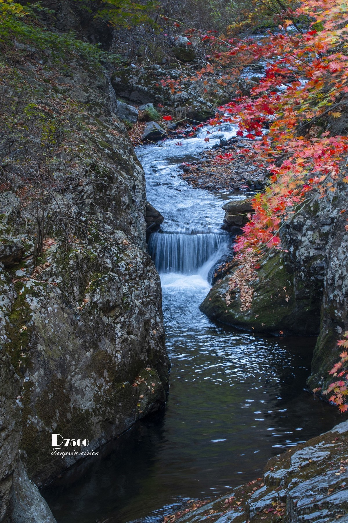 #留住美丽秋天# ——潺潺流水