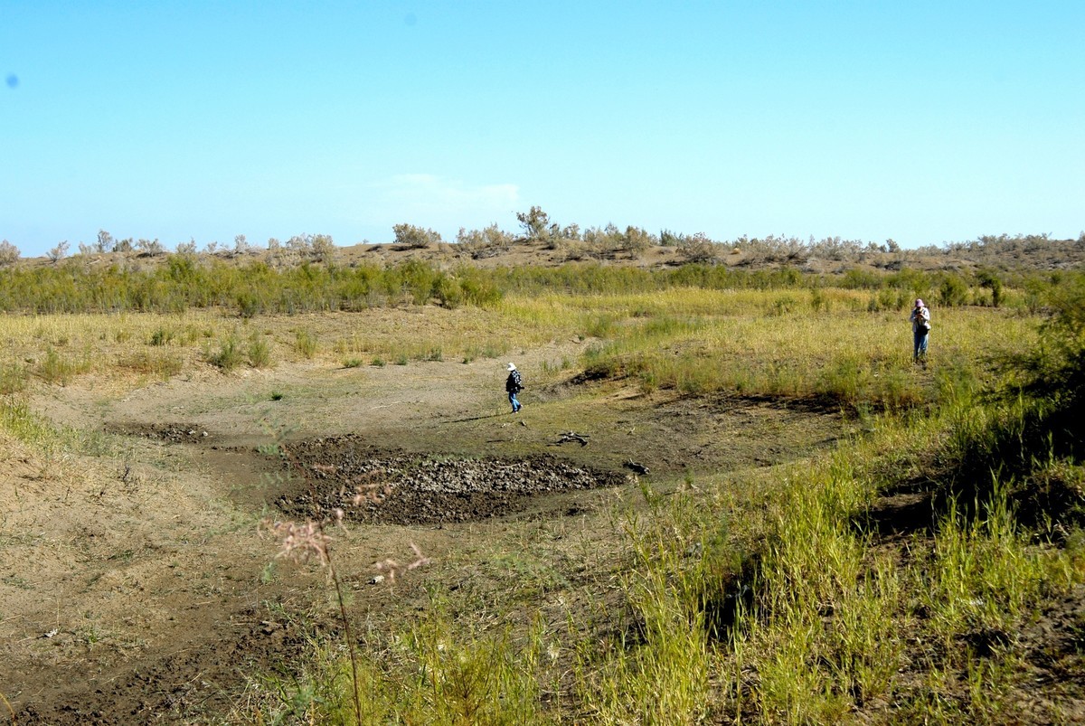 尼康D200+24-85随便拍拍。