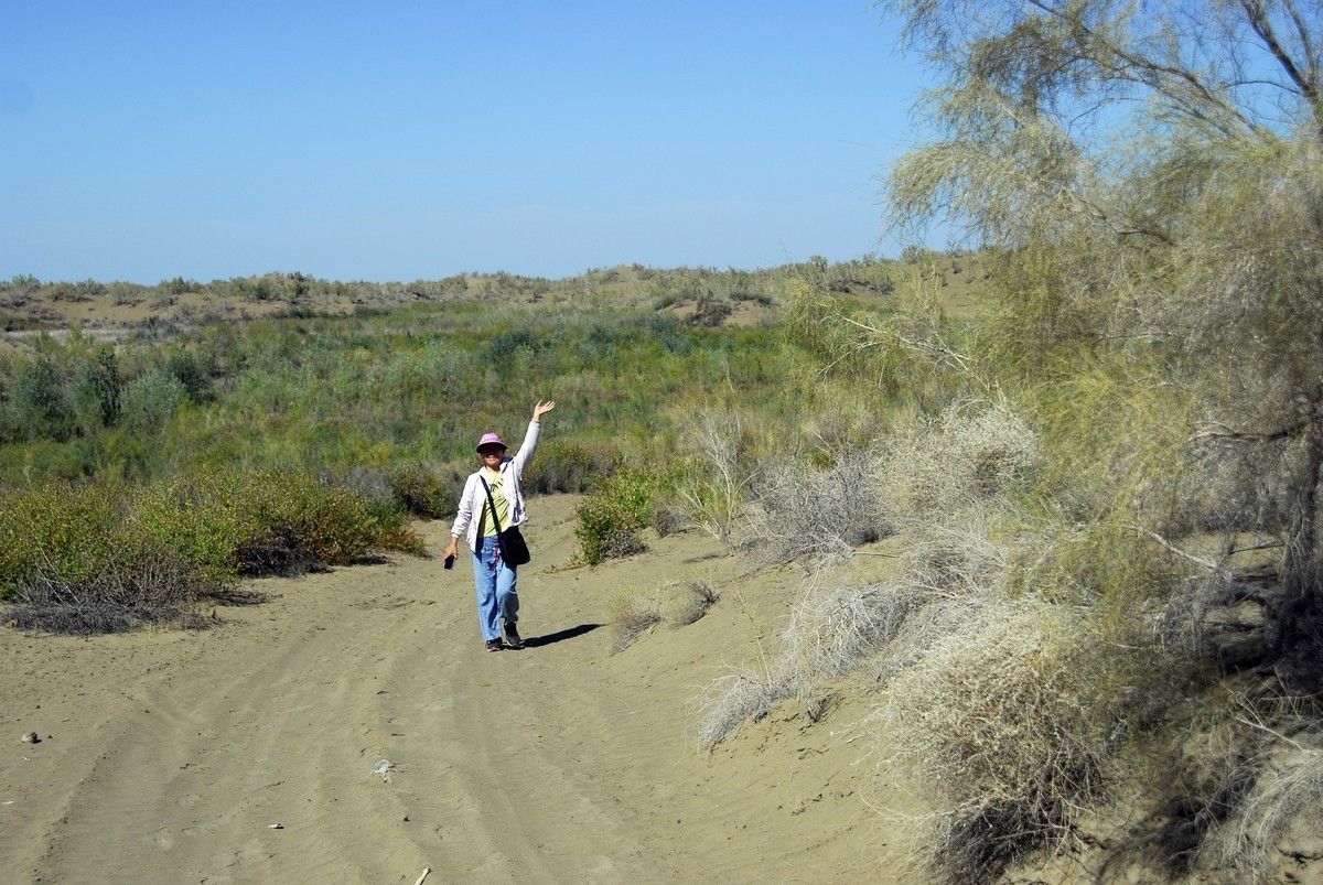 尼康D200+24-85随便拍拍。