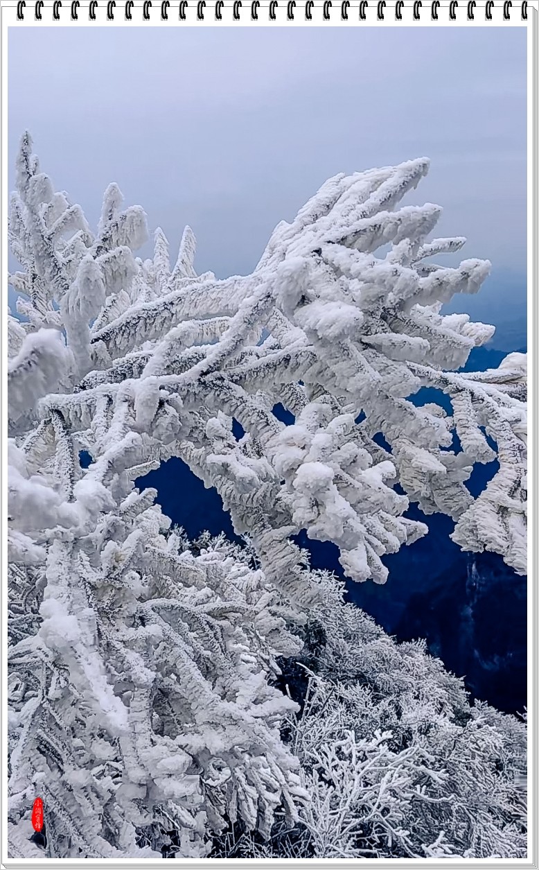 2023年-天门山风光纪实抓拍-590