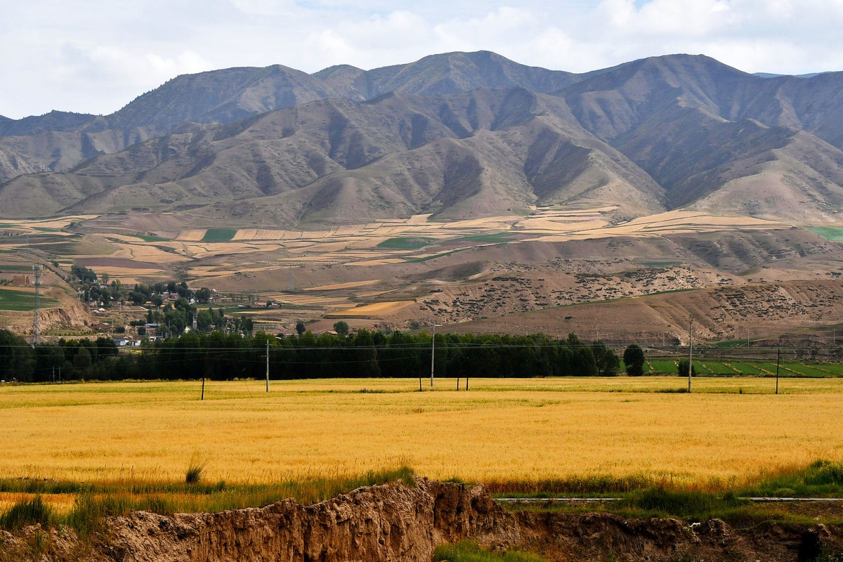 西北山丹军马一览