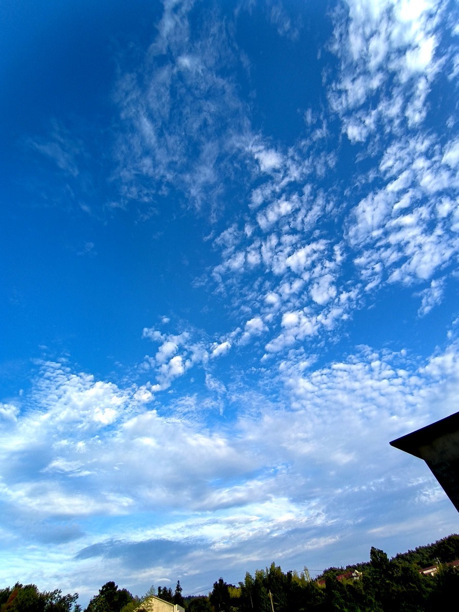 漫步星城 走街串巷（395）乡风文明   治理有效