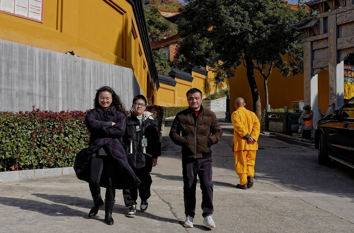 宝通寺银杏四（完）