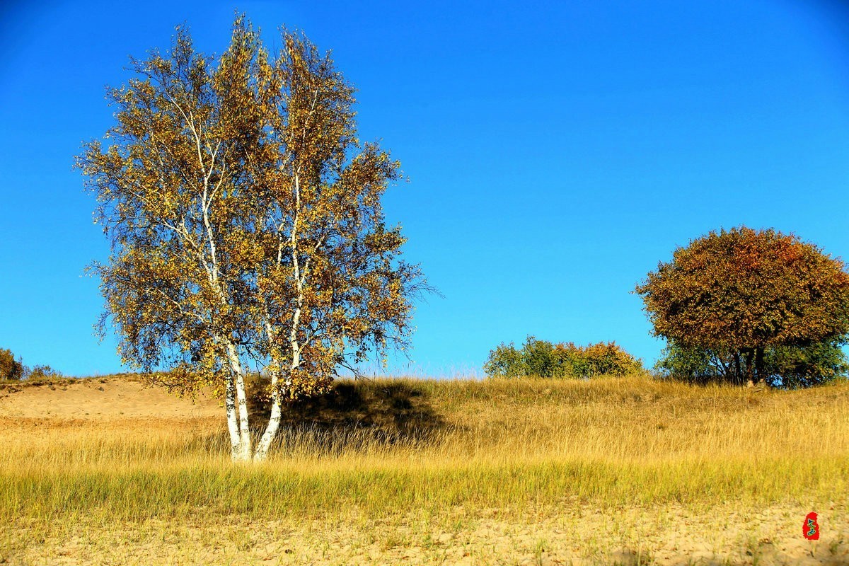 内蒙乌兰布统坝上盘龙大峡谷（二）