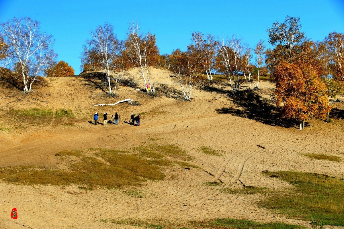 内蒙乌兰布统坝上盘龙大峡谷（二）